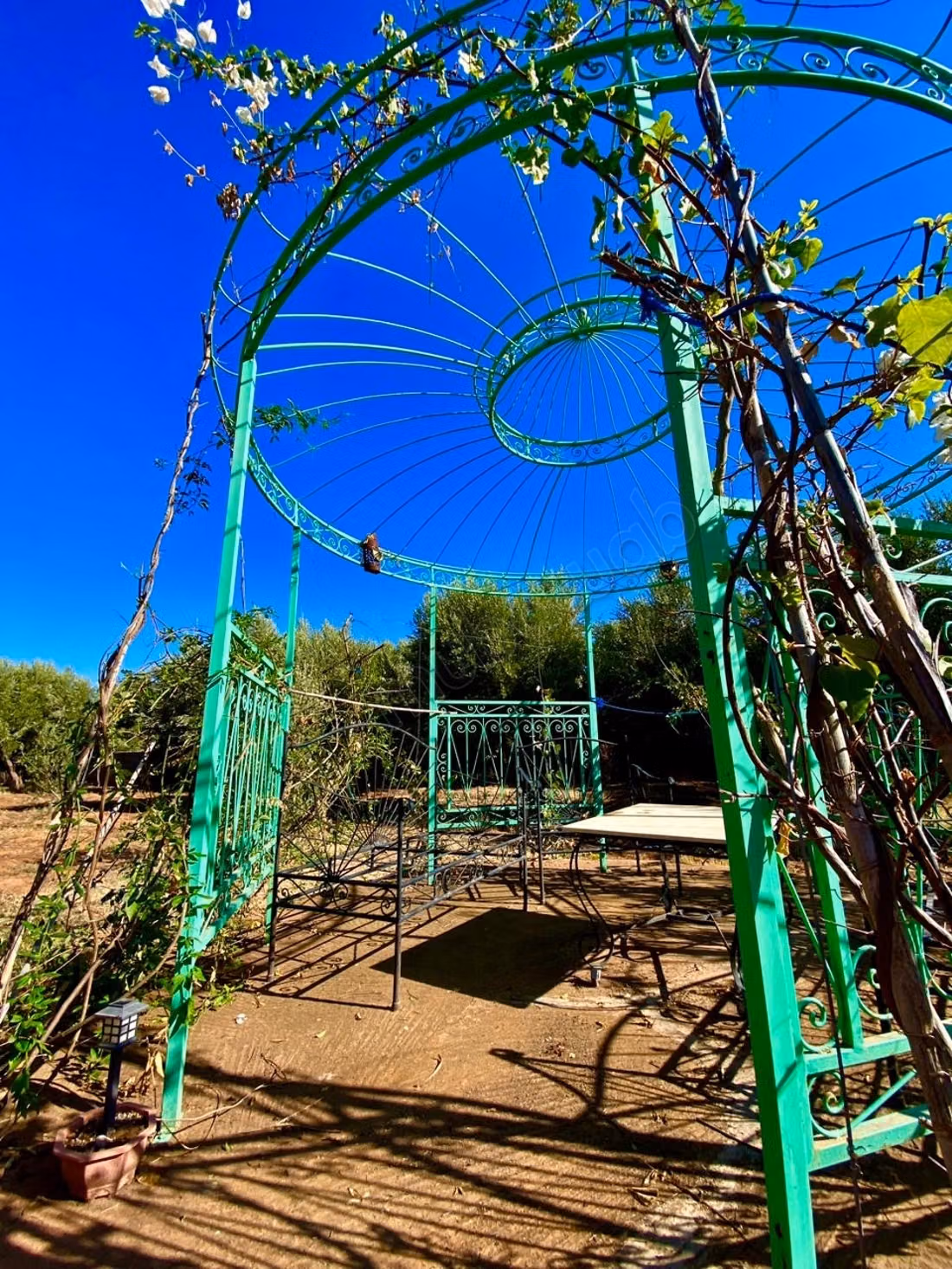 Beautiful farm for sale on Ourika Road