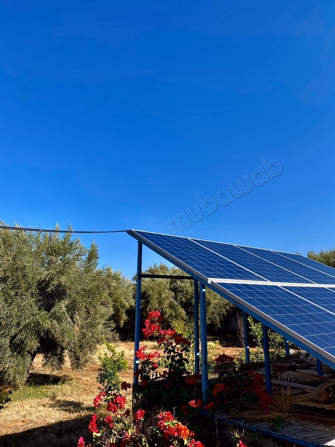 Beautiful farm for sale on Ourika Road