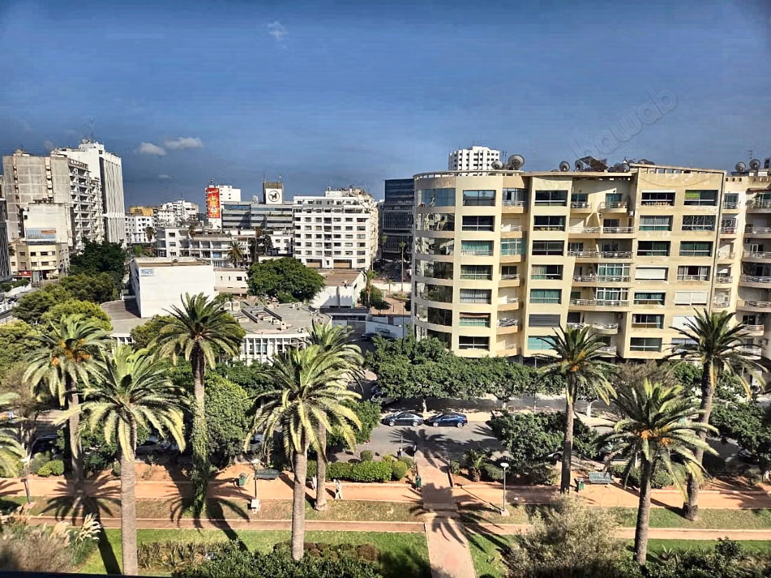 Appartement à Palmier avec une vue sur jardin
