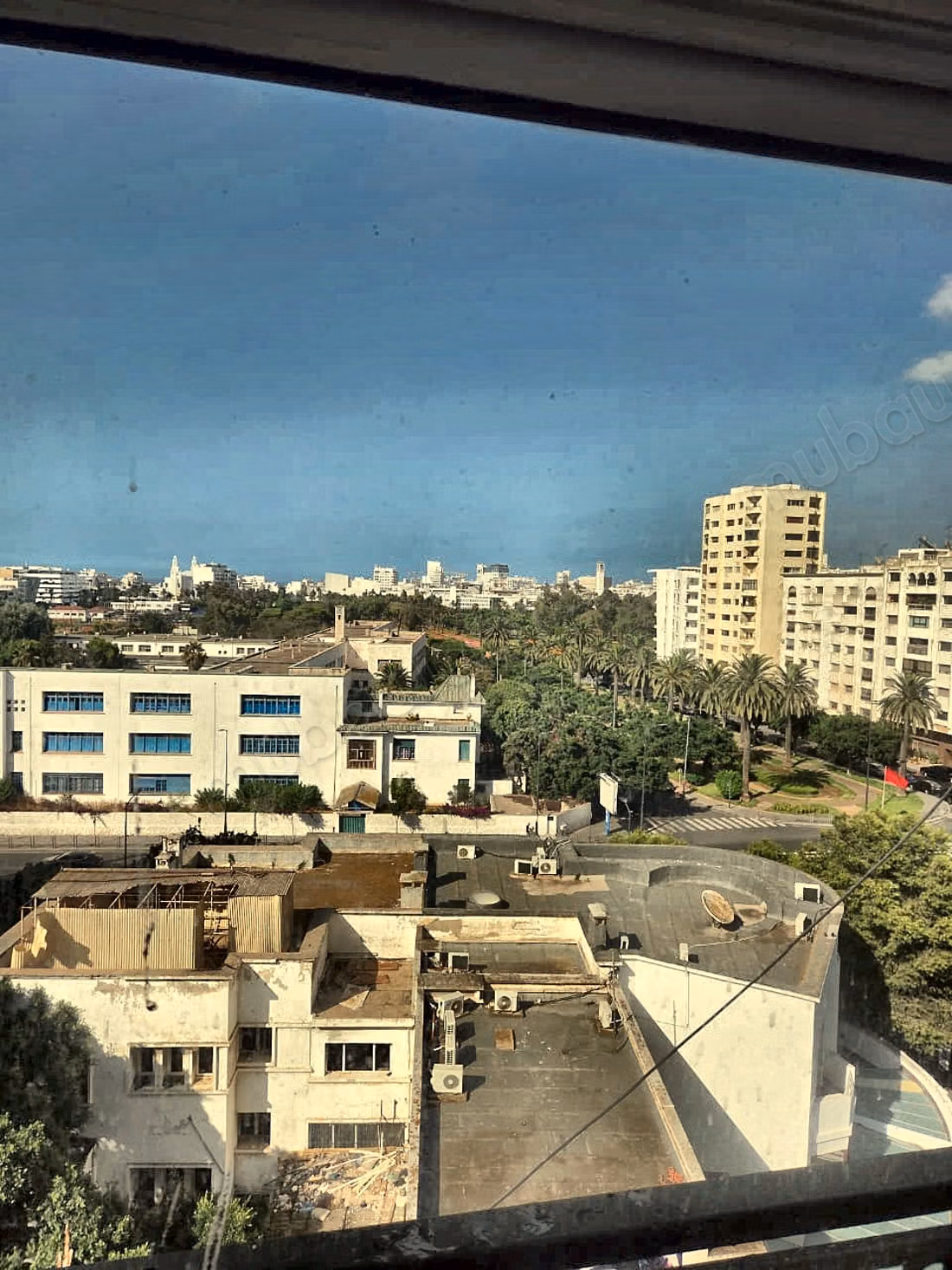 Appartement à Palmier avec une vue sur jardin