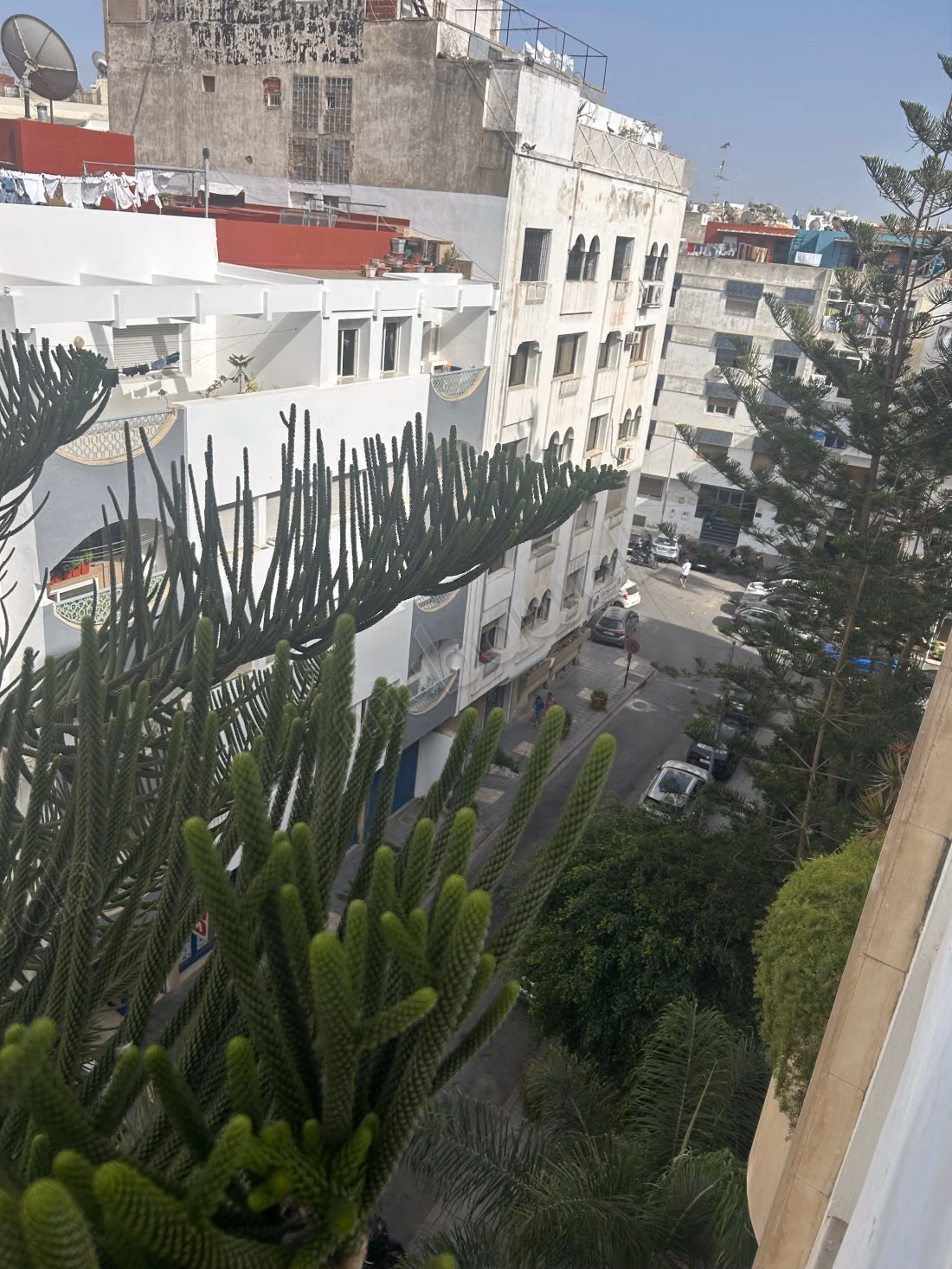 Racine Apt 160m2 Meublé à louer 3ch