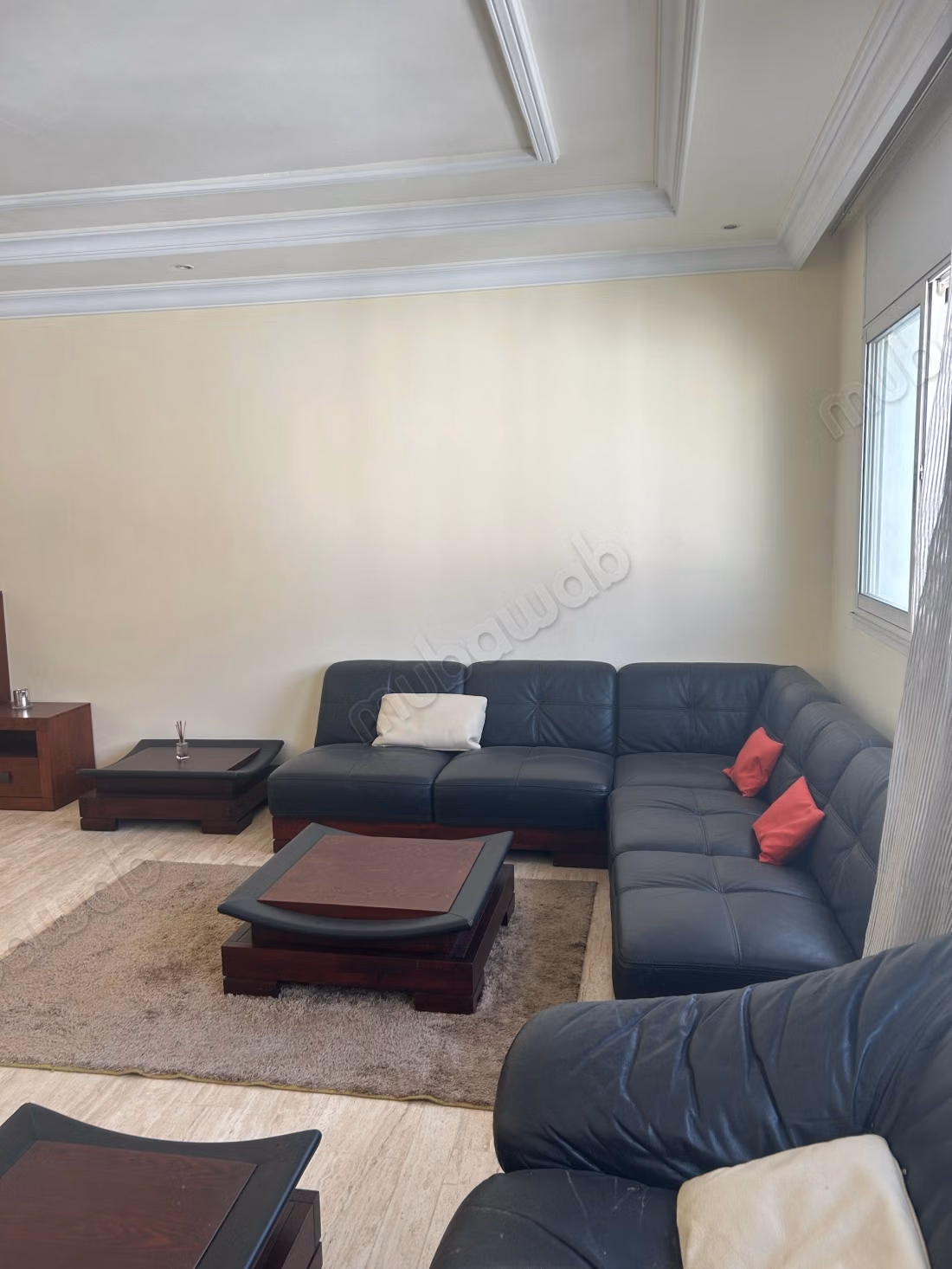 Racine Apt 160m2 Meublé à louer 3ch