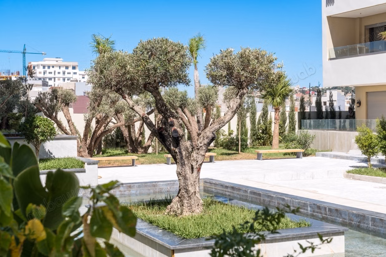 Find an apartment to buy in Tanja Balia. Large area 50 m²