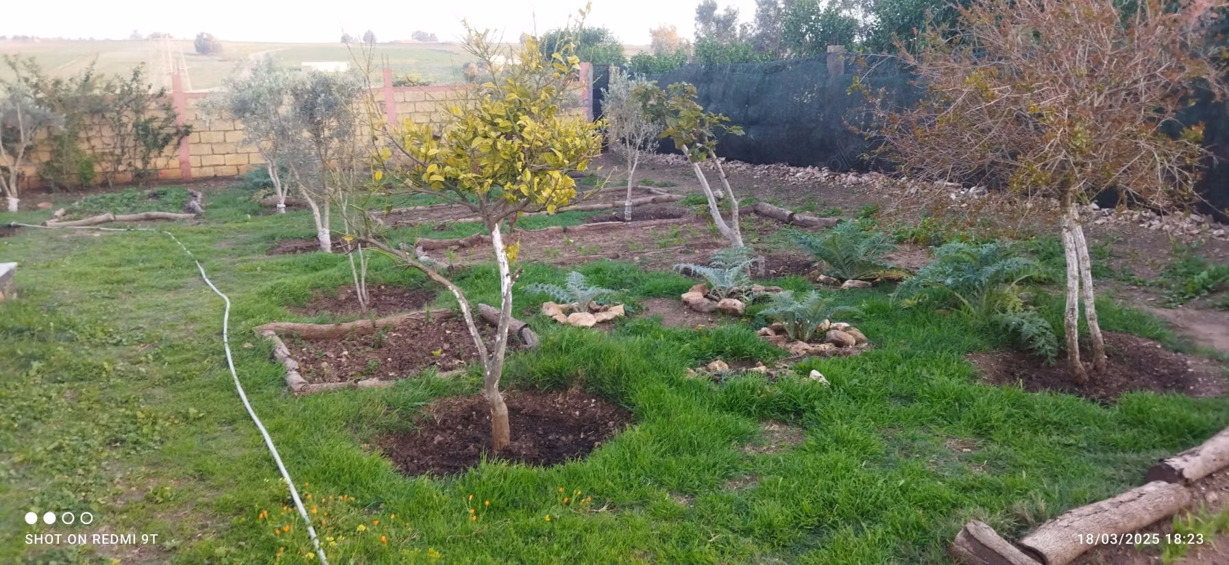 Find your farm to buy in Oulad Hamdane
