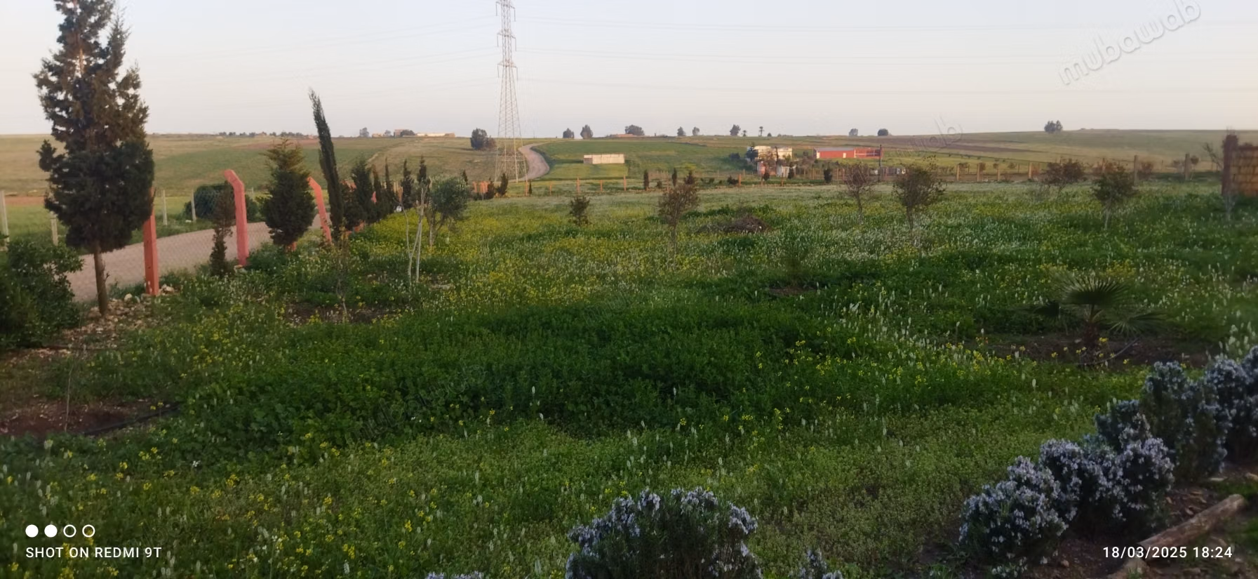 Find your farm to buy in Oulad Hamdane