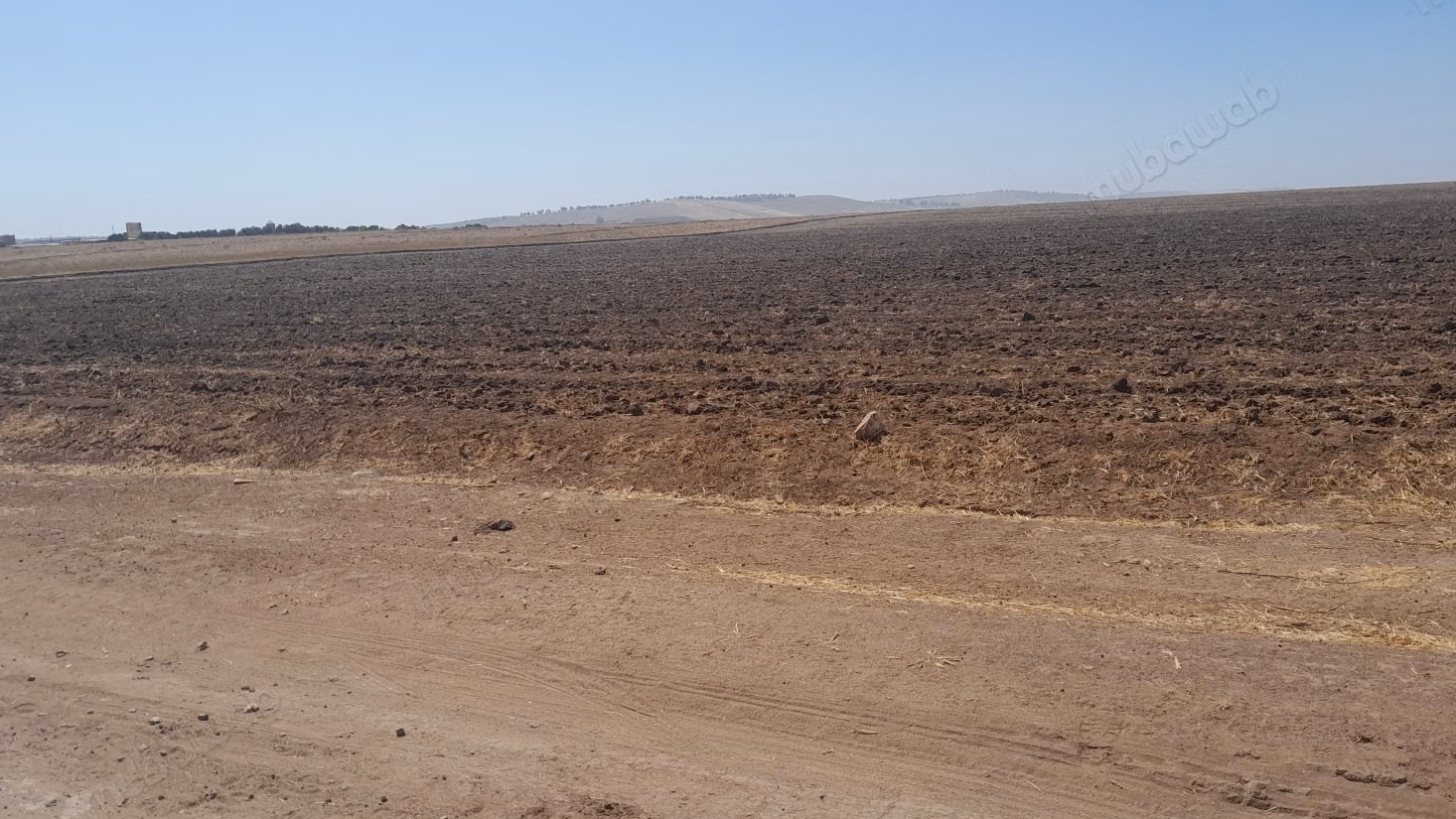 Beautiful farm for sale in Alouane. Area 40,000 m². Secure residence