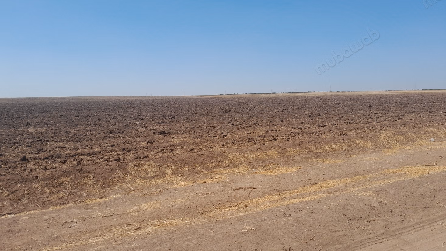 Beautiful farm for sale in Alouane. Area 40,000 m². Secure residence
