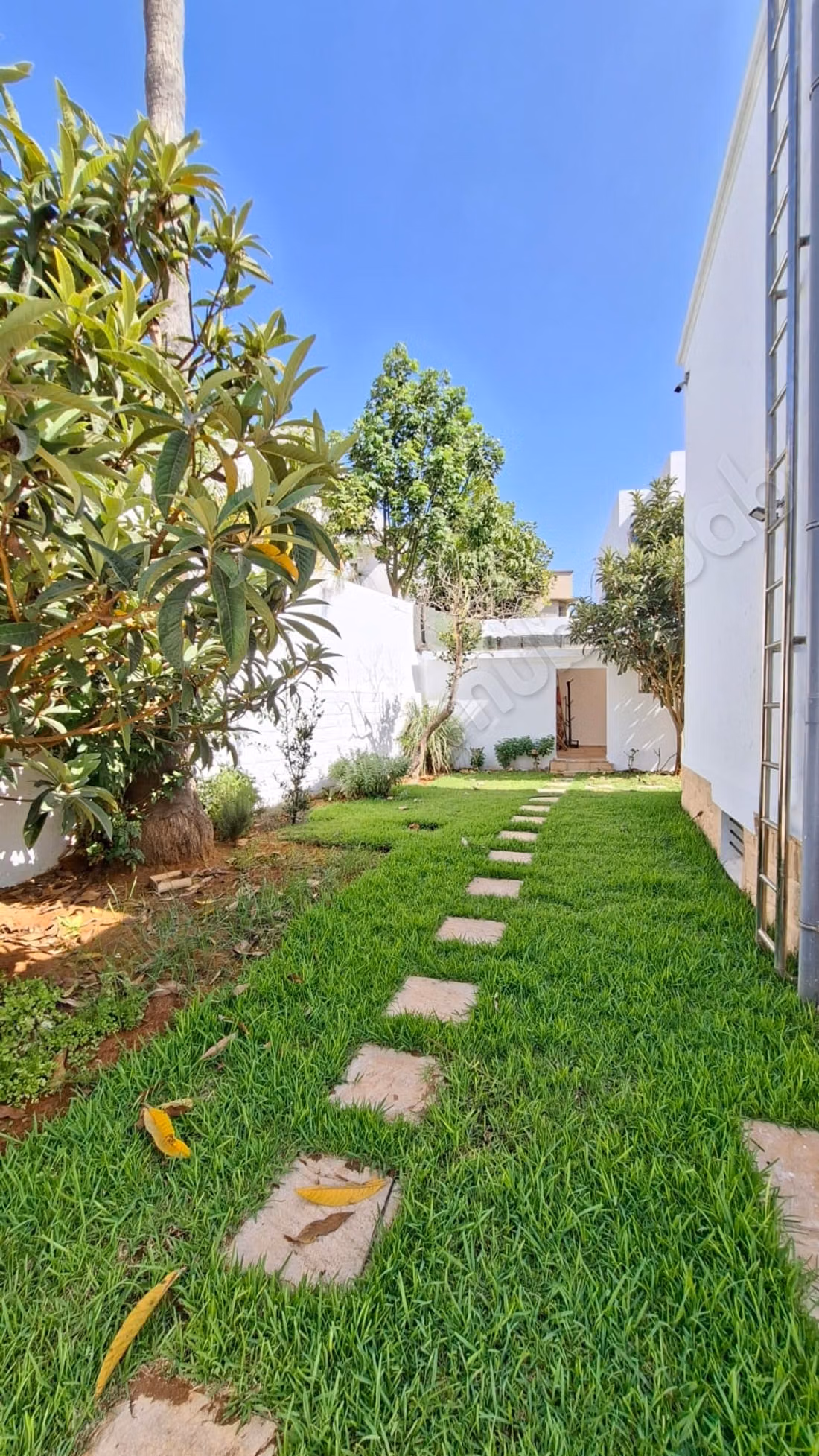 Alquiler de villa de alto standing en el Centro de Hassan. 4 hermosas habitaciones. Hermosa terraza y jardín