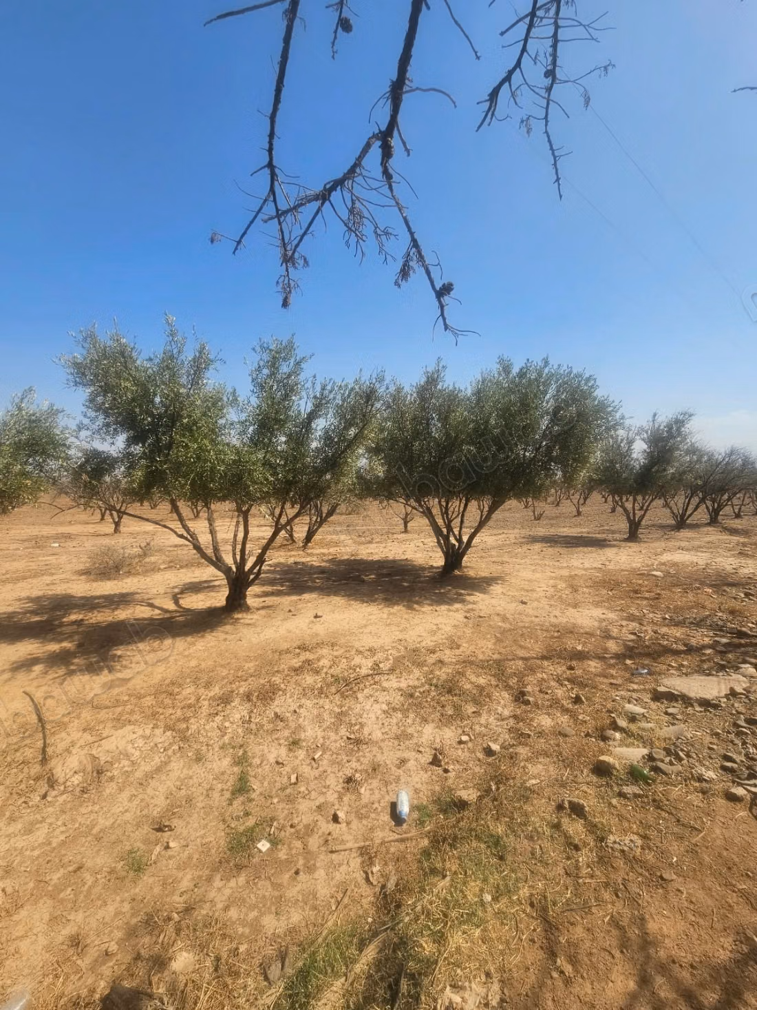 Terrains d'exception Route d'Ourika 1ha ou plus
