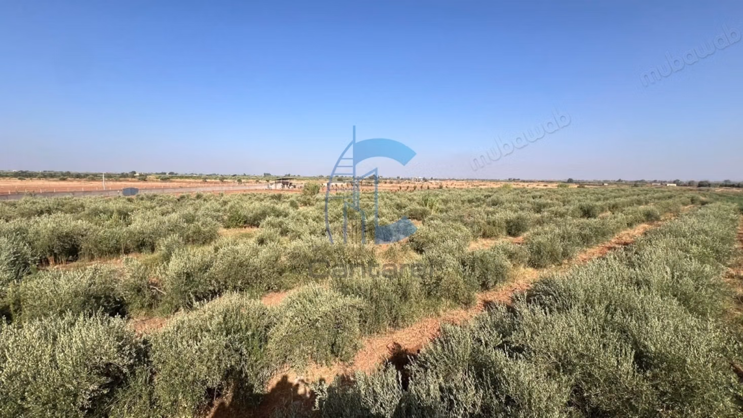 Villa riad de una sola planta con 5 a 7 habitaciones y 27,493 m² de terreno con olivar en venta en Sidi Abdellah Ghiat