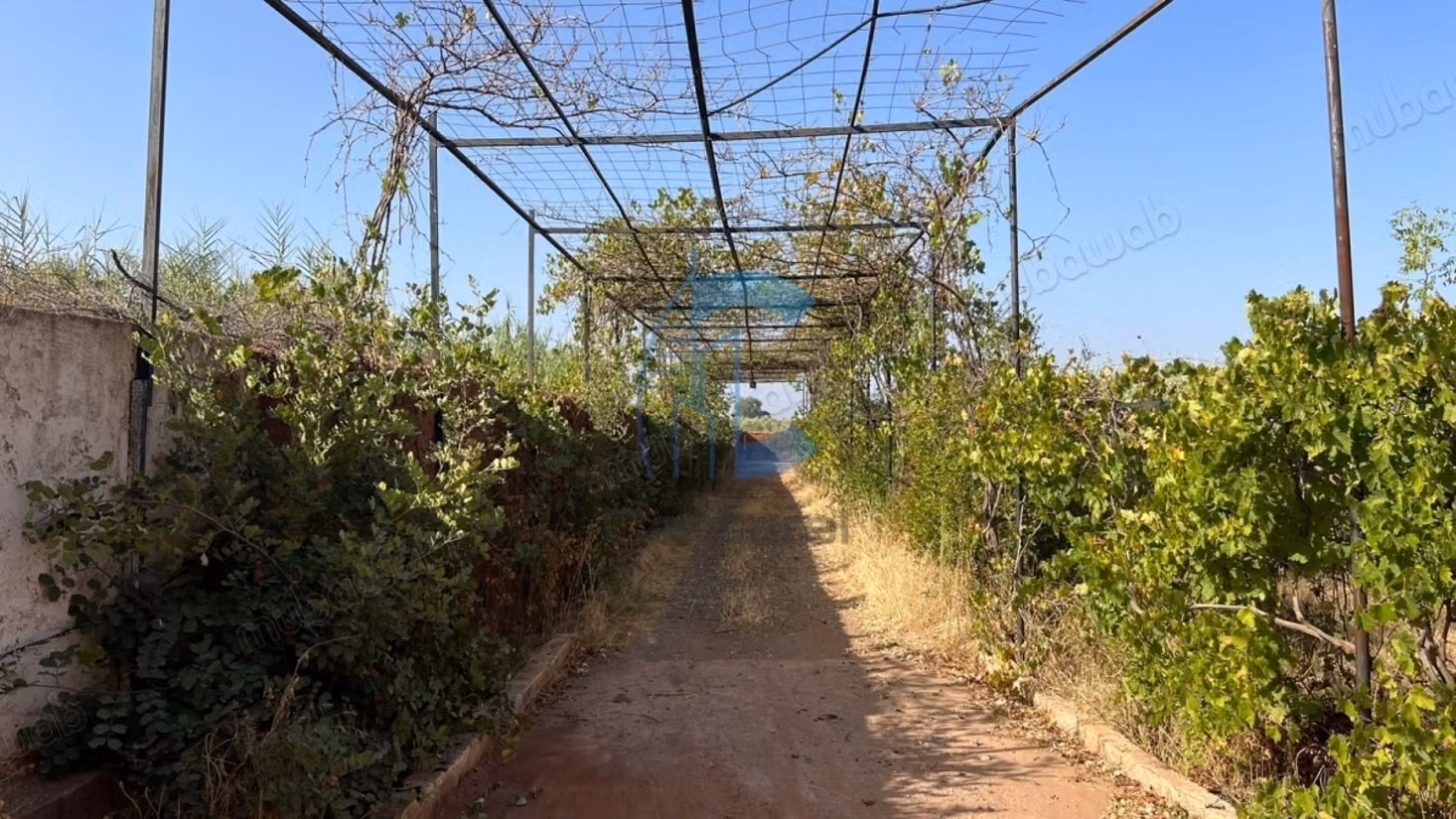 Villa riad de una sola planta con 5 a 7 habitaciones y 27,493 m² de terreno con olivar en venta en Sidi Abdellah Ghiat