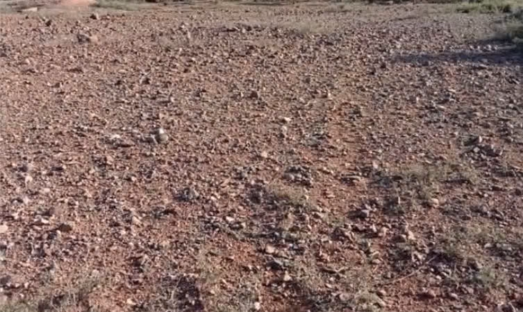 Land for sale on Sidi Rehal Road
