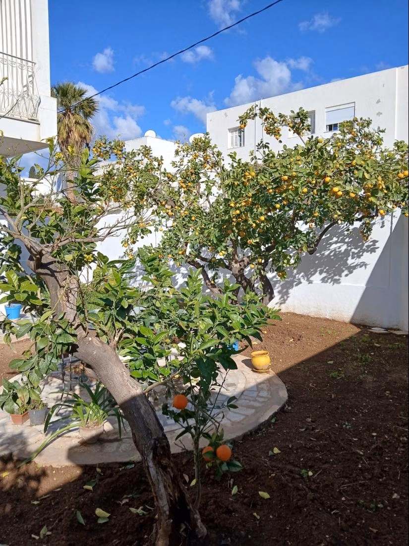 Villa à la Nouvelle Ariana
