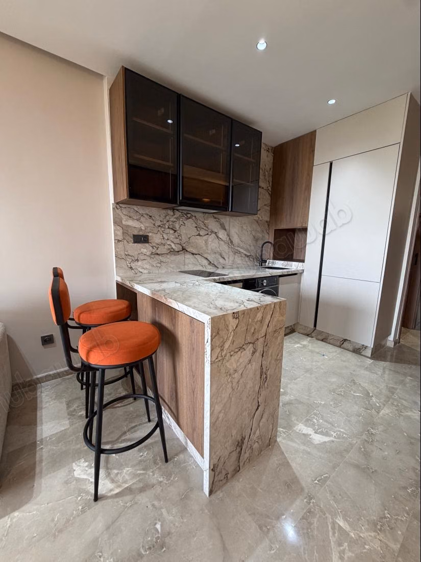 Superb new studio well furnished with terrace