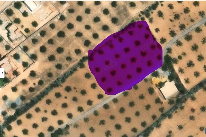 Terrain à vendre – Besbasia, Hammamet Sud