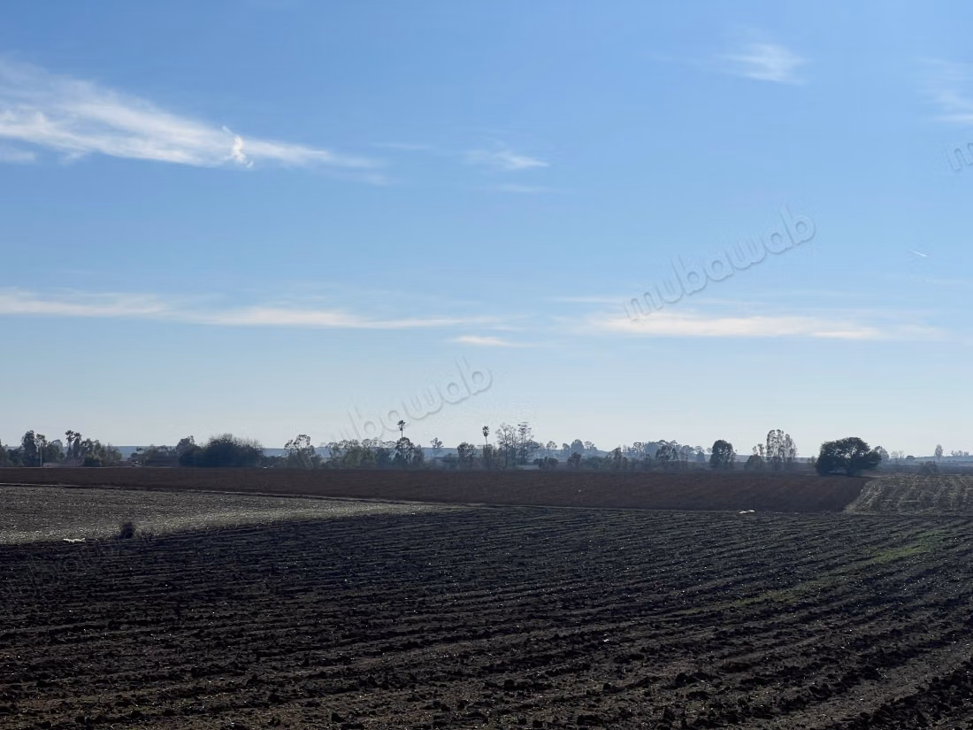 Terrain à vendre à Les Chenes. Superficie de 100000 m²