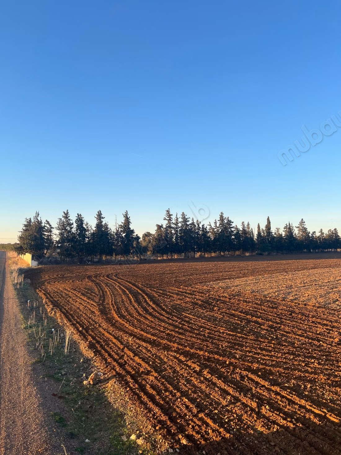 Terrain à vendre à Les Chenes. Superficie de 100000 m²