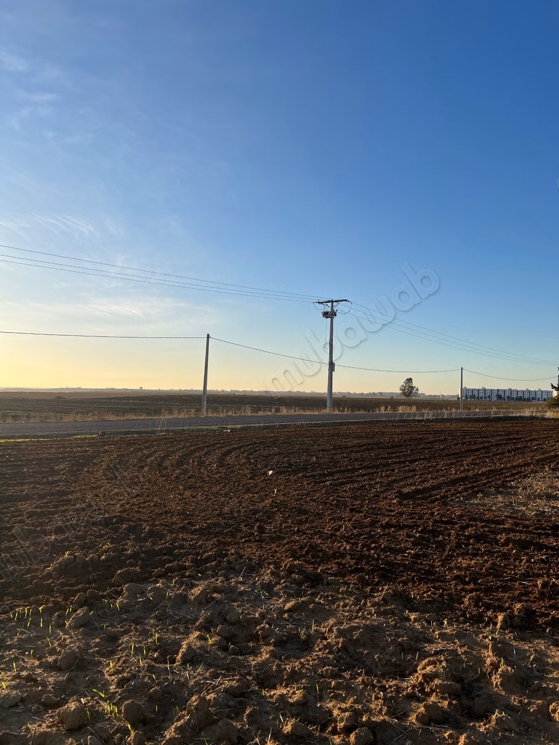 Terrain à vendre à Les Chenes. Superficie de 100000 m²