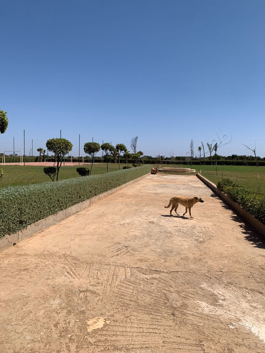 Fattoria piacevole in vendita a Bir Jdid. Superficie totale 78000 m². Posti auto