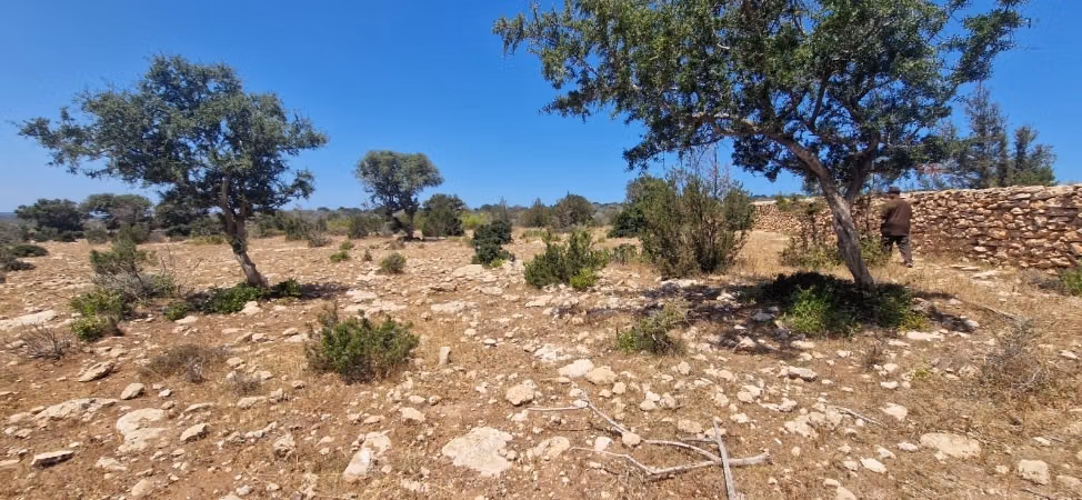 Terreno en venta en Douar Lareïch. Superficie total 10000 m²