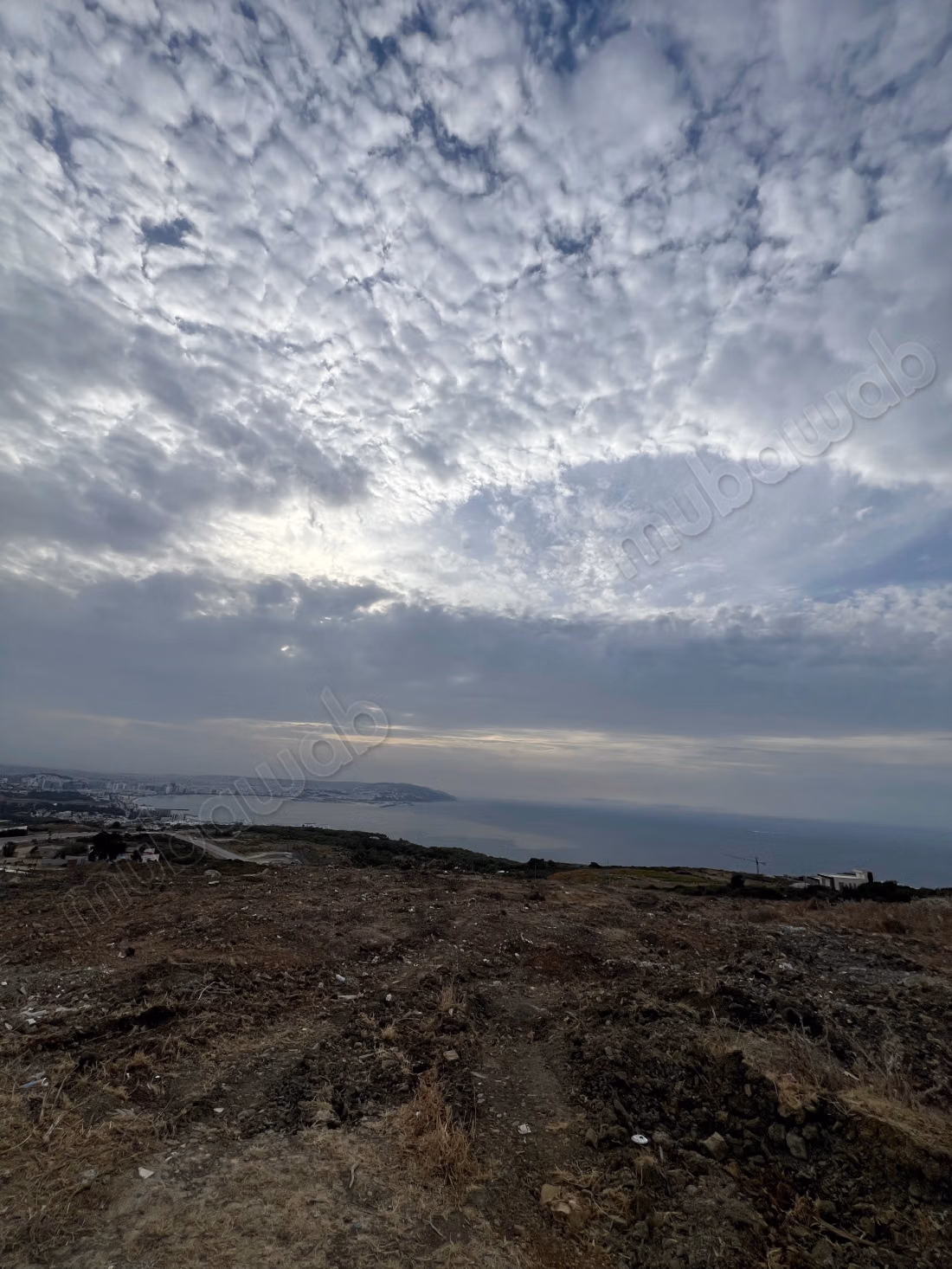 Land for sale in Manar. Surface area 32000 m²