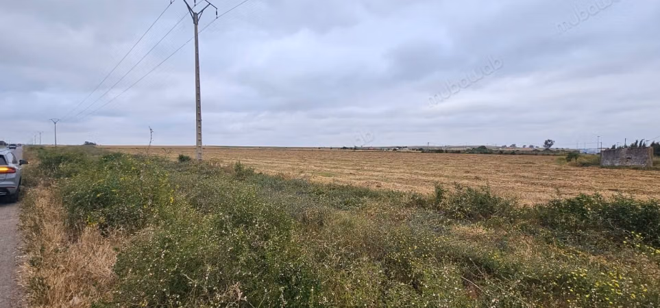 For Sale - Industrial Land of 4 Hectares
