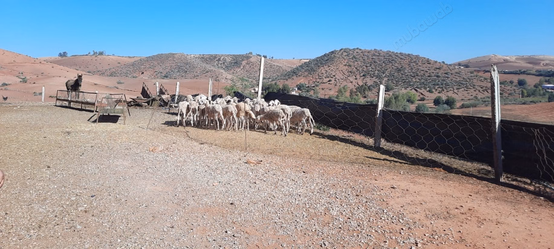 Finca en venta en Golf de Benslimane. Superficie de 438 m². Garaje