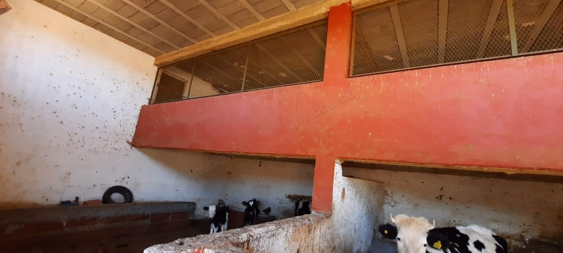 Finca en venta en Golf de Benslimane. Superficie de 438 m². Garaje