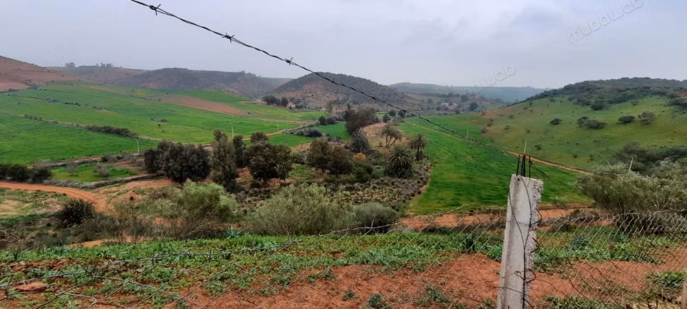 Finca en venta en Golf de Benslimane. Superficie de 438 m². Garaje
