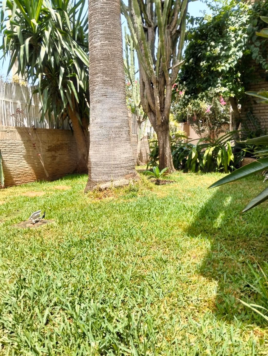 Villa en location meublée à Souissi