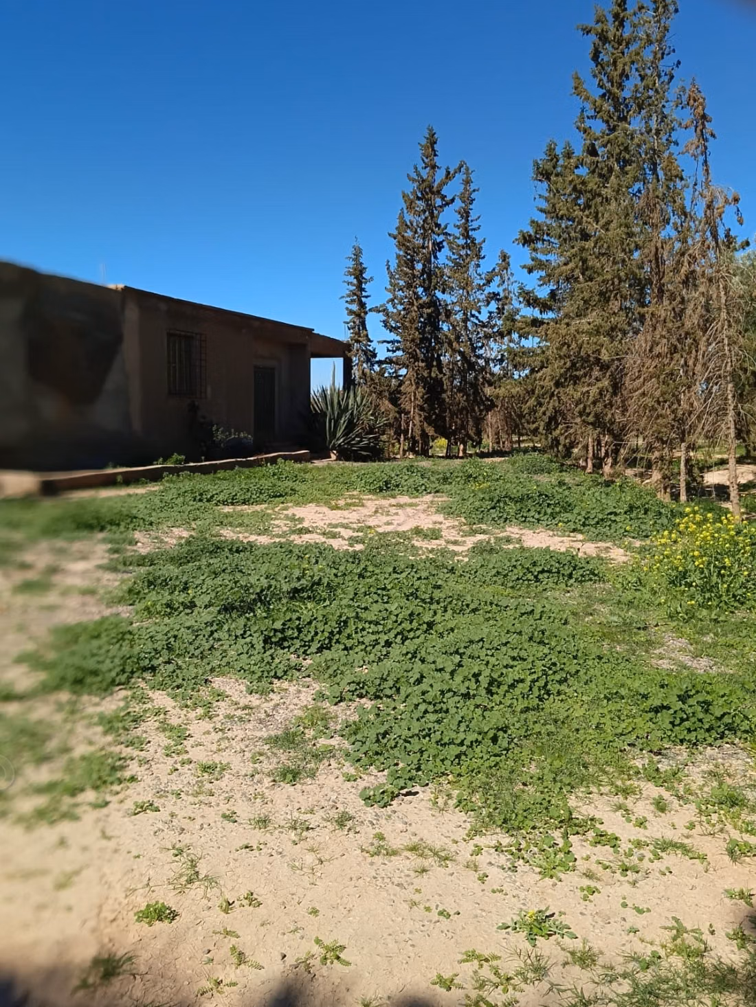 Ferme Marrakech 6 hectares titré