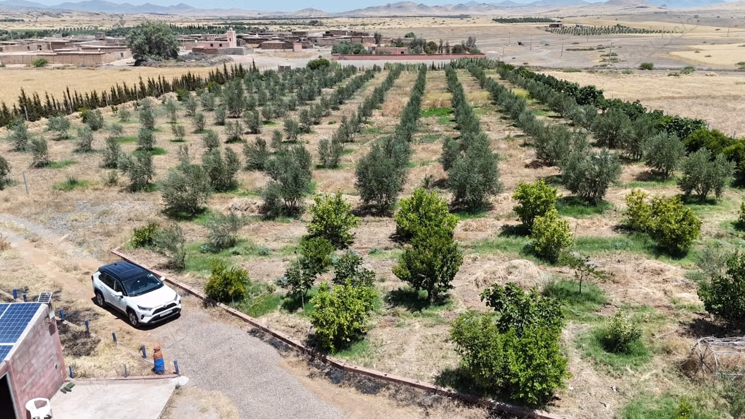 Beautiful farm for sale