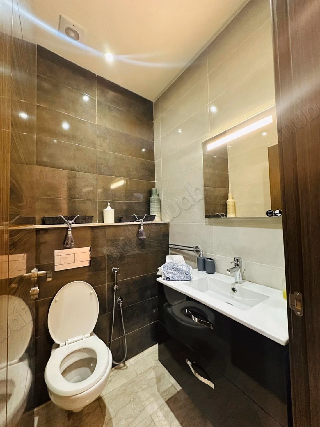 Luxury apartment for rent