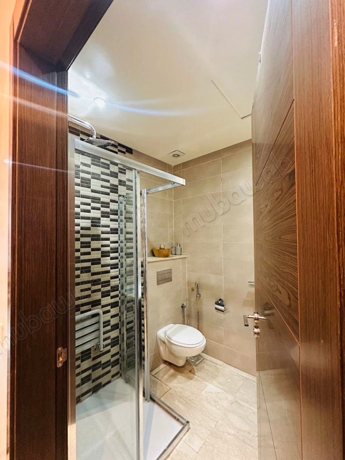 Luxury apartment for rent