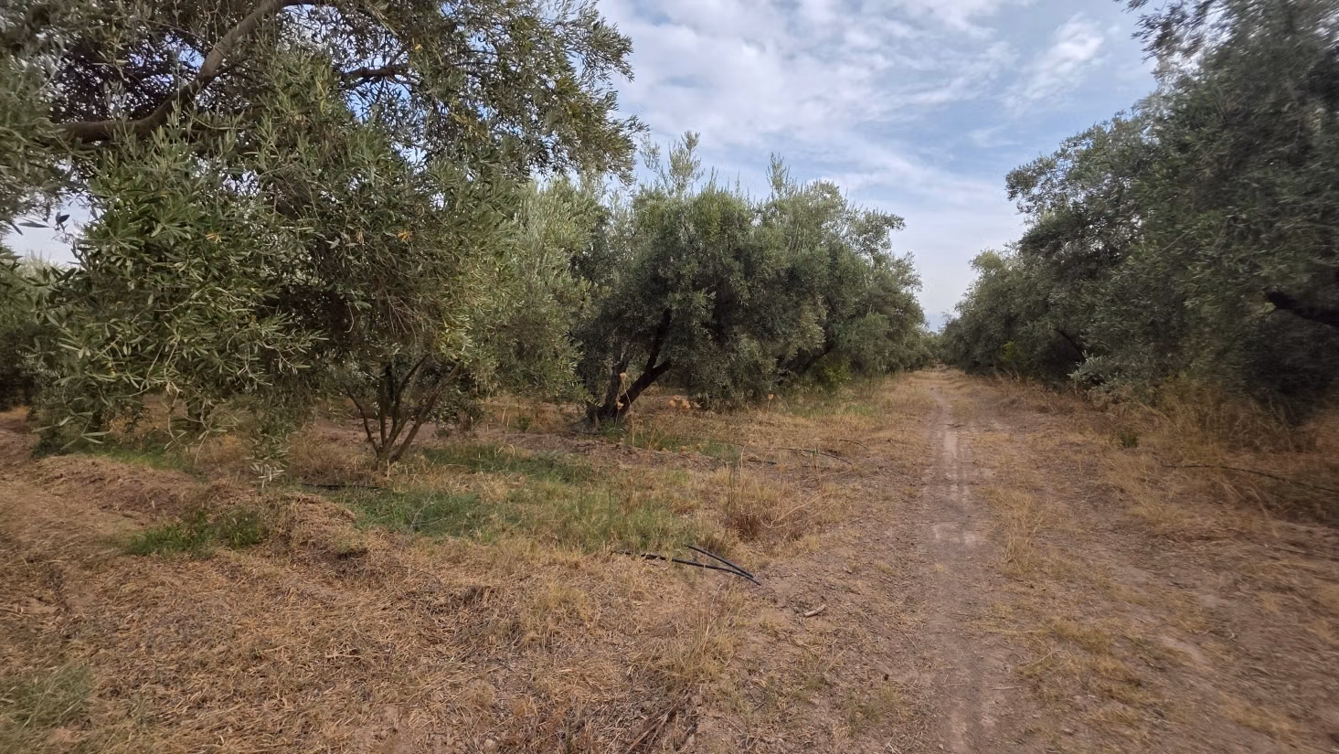 Pleasant farm for sale 6 km from Lalla Takarkoust. Total area 50,000 m². Gated community