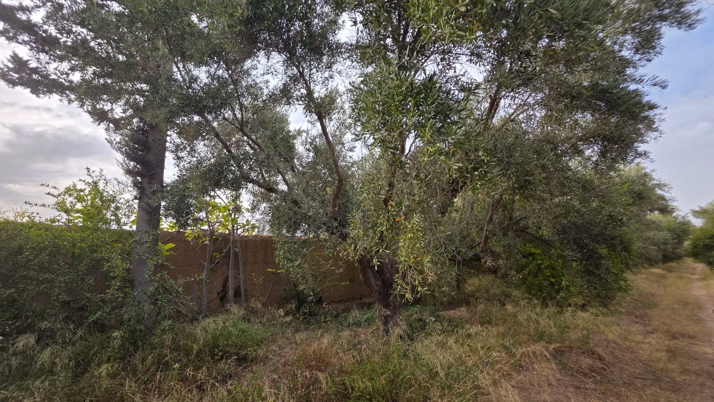 Pleasant farm for sale 6 km from Lalla Takarkoust. Total area 50,000 m². Gated community
