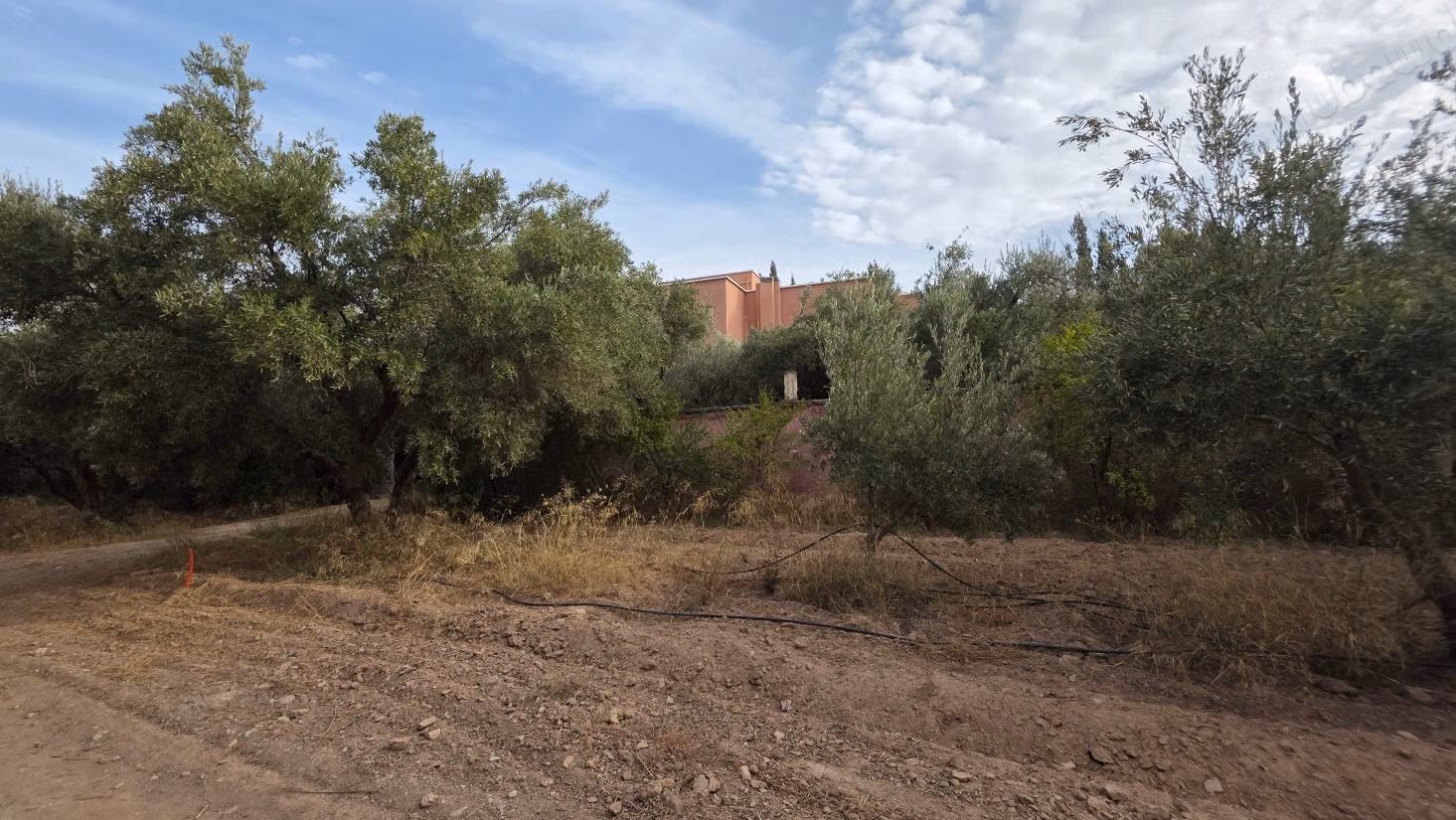 Pleasant farm for sale 6 km from Lalla Takarkoust. Total area 50,000 m². Gated community