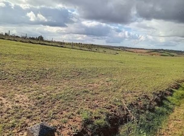 Terreno in vendita a Dar Bouazza. Superficie totale di 140.000 m²