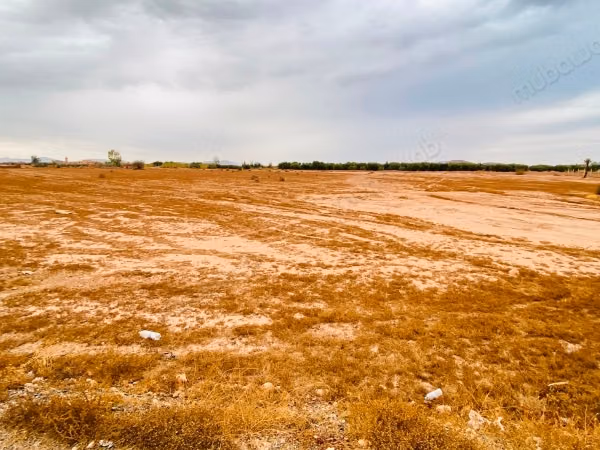 Terrain à vendre, d'une superficie de 10 000 mètres, adapté à la construction d'une villa
