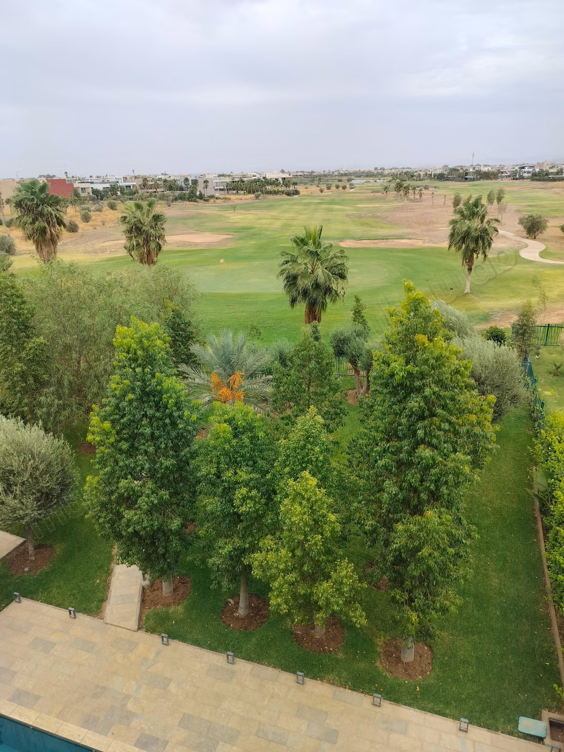 Front Golf Argane