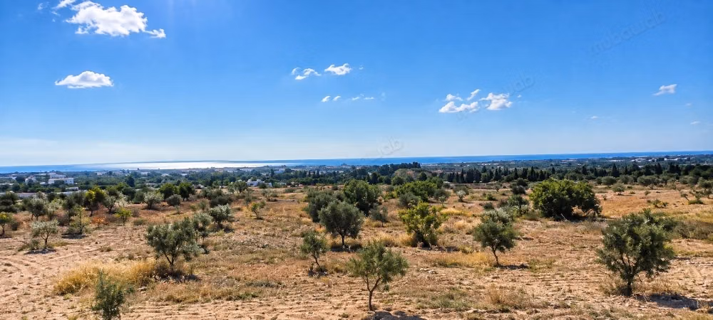 Terrain à vendre – Sidi mtir, Hammamet sud
