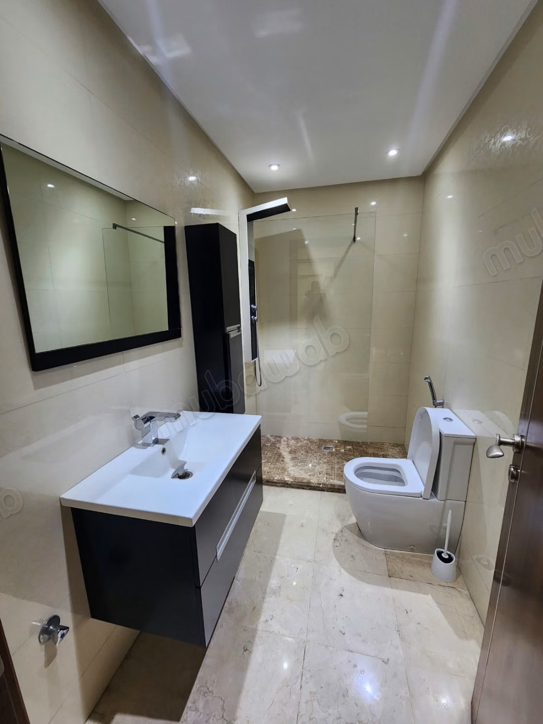 Appartement bien ensoleillé à louer plein Racine