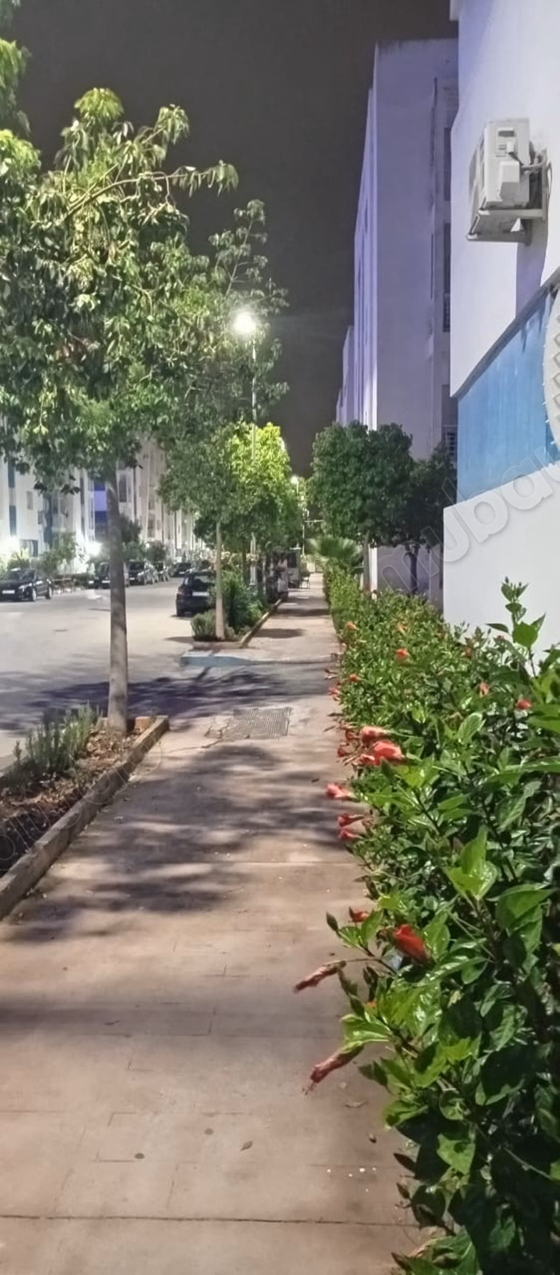 Apartment for rent in Martil. 2 rooms. Well furnished