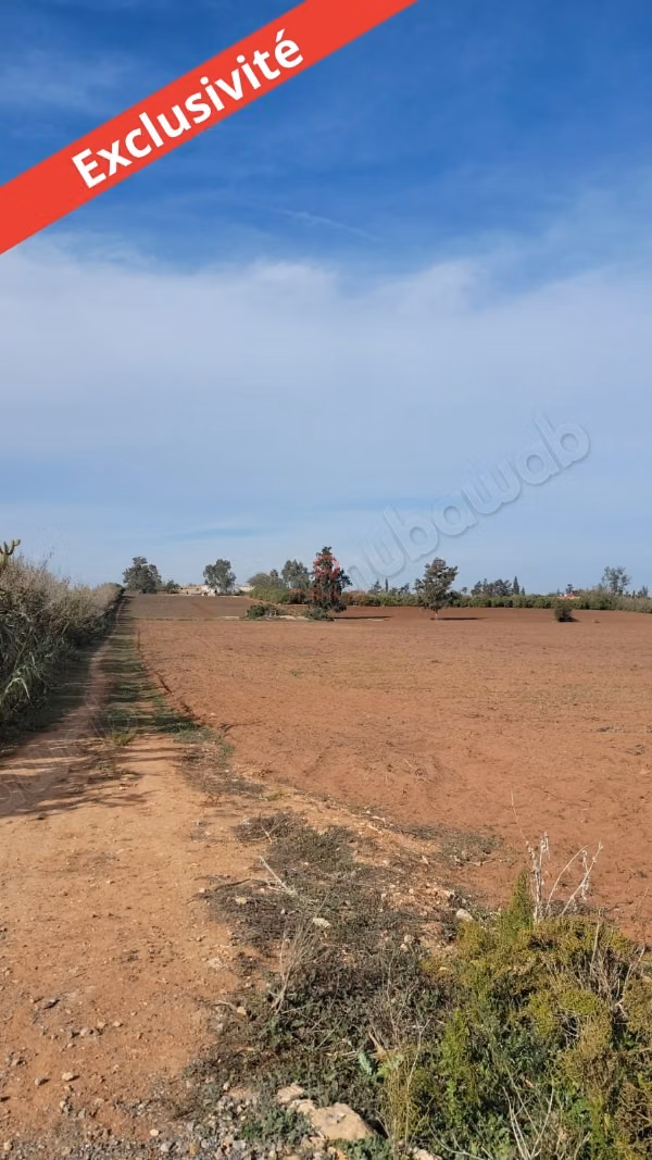 Vente Terrain nu à Skhirat