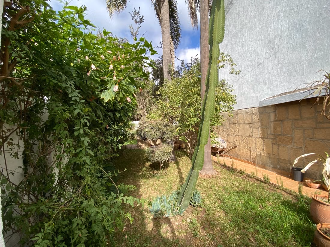 Villa buraeu à louer à souissi. Surface totale 700 m². Jardin et terrasse