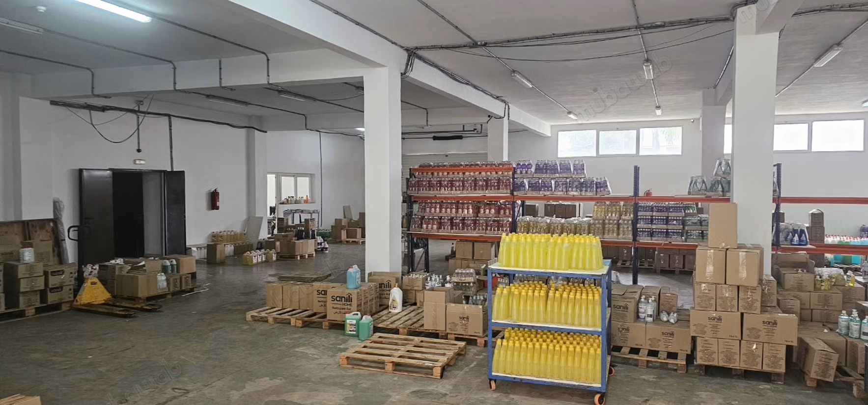 Edificio industrial de 5.000 m de superficie útil en alquiler situado en la zona industrial de Sapino