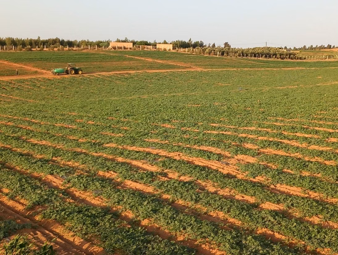 Purchase of land in Tifelt. Area 100,000 m²