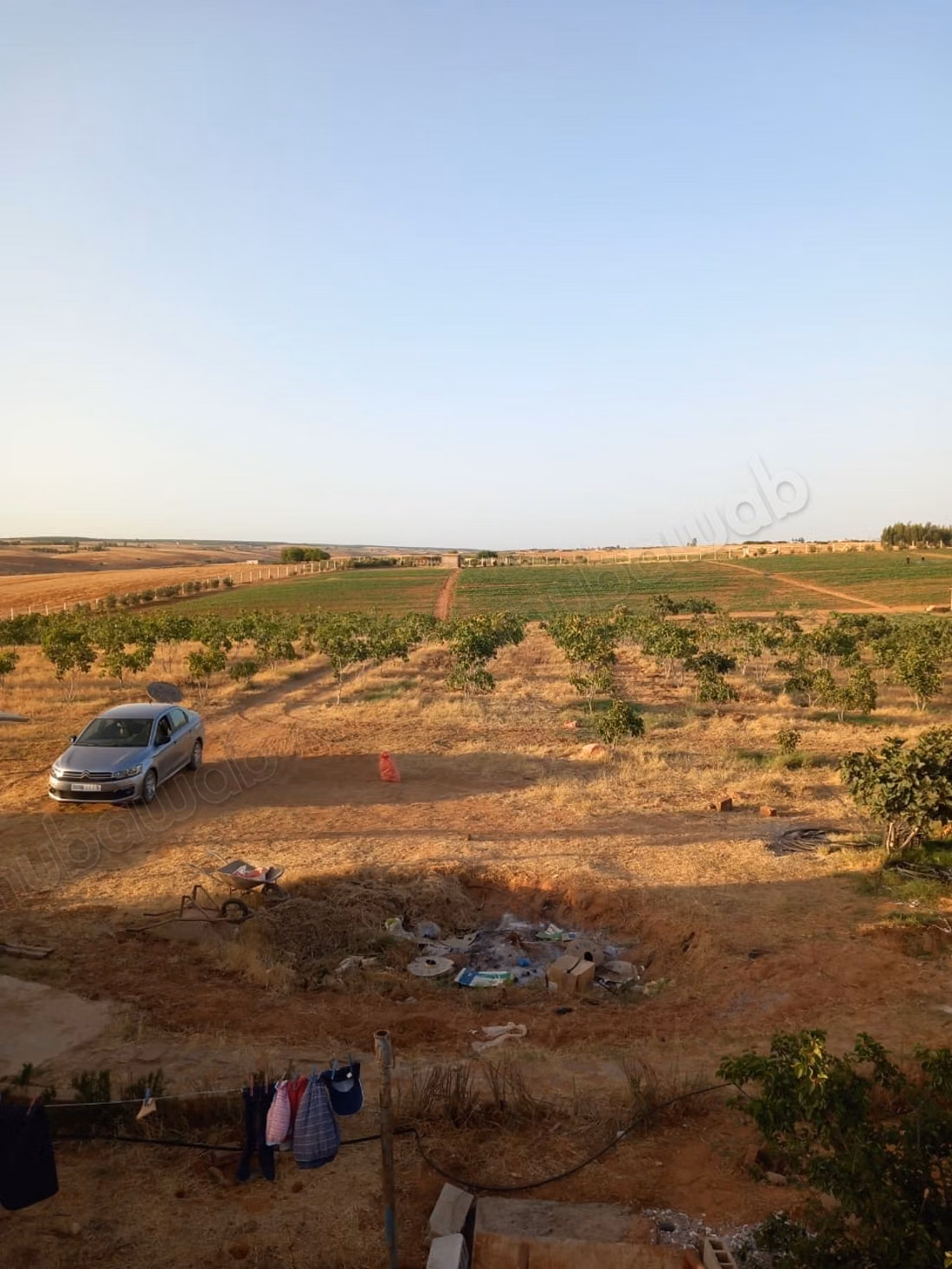 Purchase of land in Tifelt. Area 100,000 m²