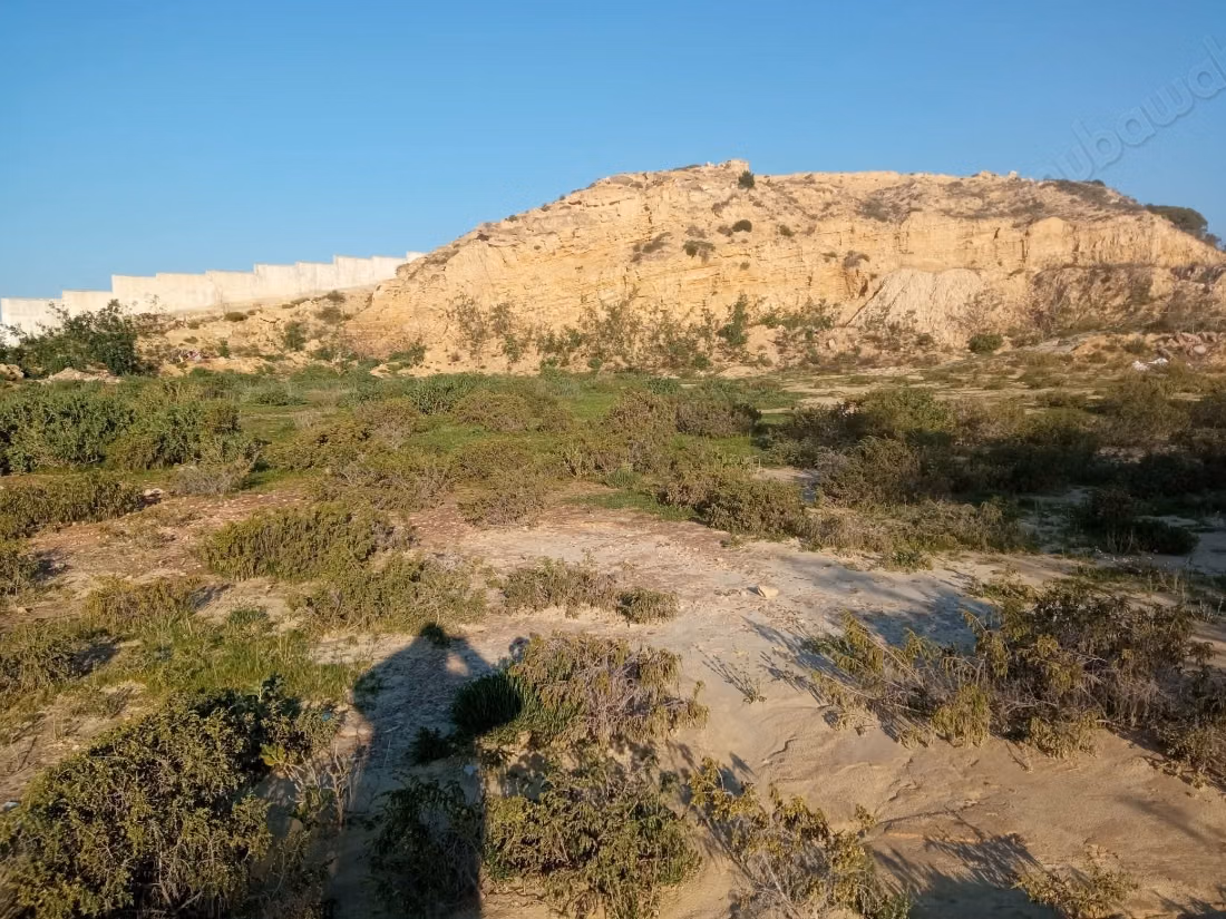 Vente terrain à batir
