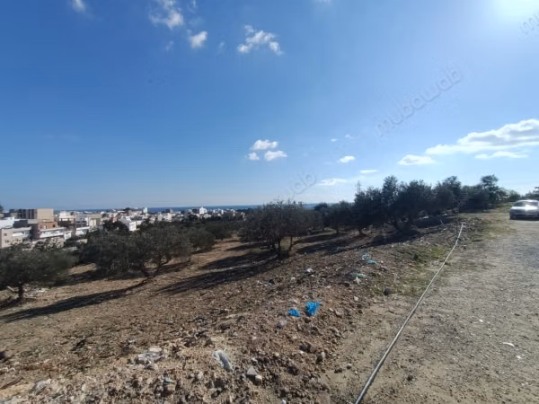 A vendre un terrain à kharrouba hammamet